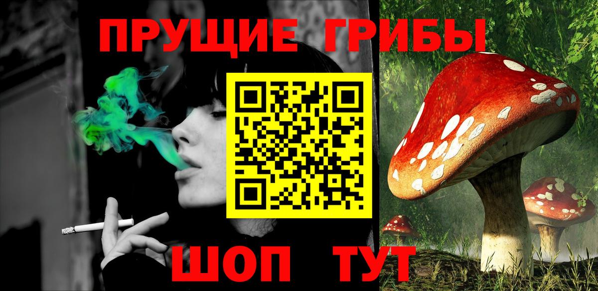 наркотики  Галлюциногенные грибы GOLDEN TEACHER  Вход с VPN  Урус-Мартан 